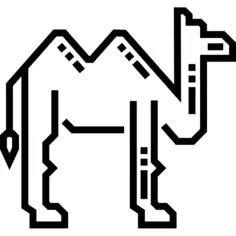 Camel