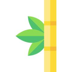 Bamboo