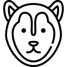 西伯利亚雪橇犬