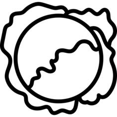 卷心菜