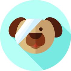 狗
