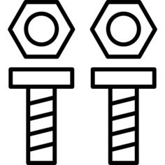 坚果