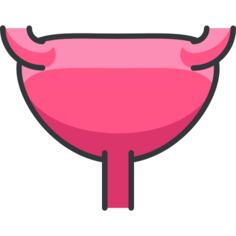 子宫