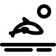 海豚