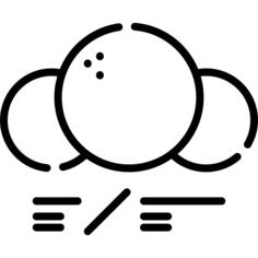 Molecule