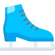 Ice skate