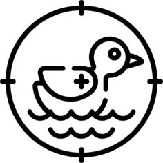 鸭