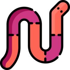 Worm