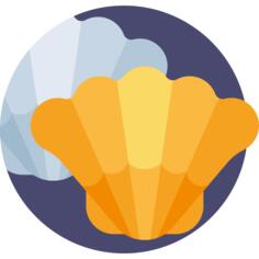 Shell