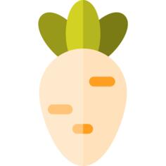 Turnip