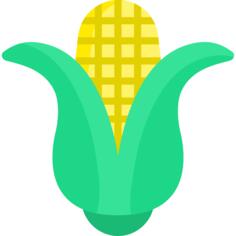 Corn