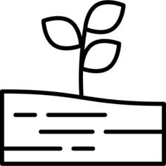 Growth
