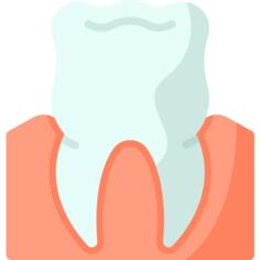 Molar