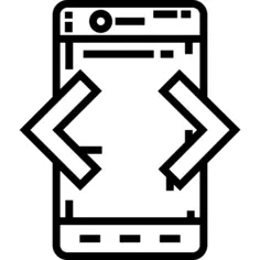 Developer