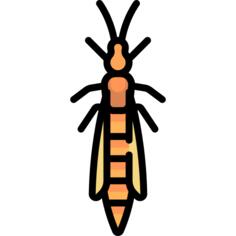 Bug