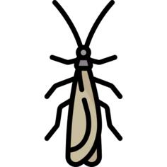 Bug
