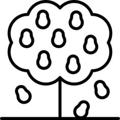 Fruit tree