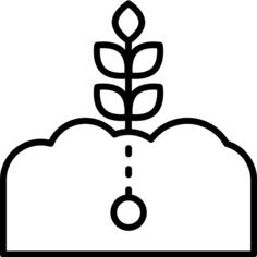 Sprout