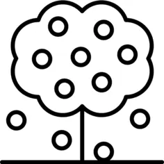 Apple tree