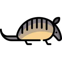 Armadillo