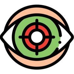 Eye