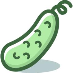 Cucumber
