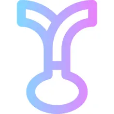 葱