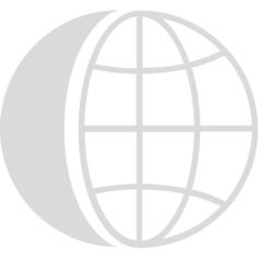 国际业务