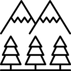 松树