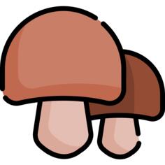 蘑菇