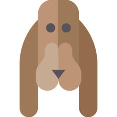 狗