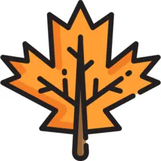 Maple leaf