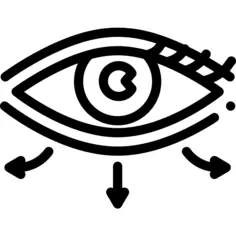 眼睛