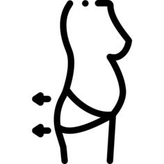 屁股