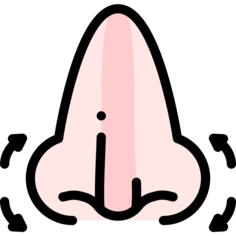 鼻子