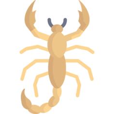 蝎