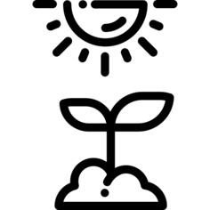 发芽