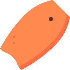 bodyboard