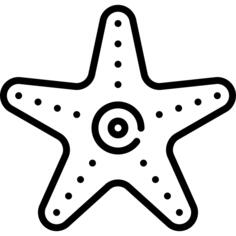 海星