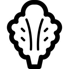 生菜
