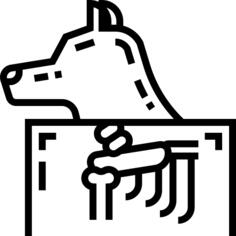 X射线