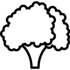 Cauliflower