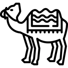 Camel