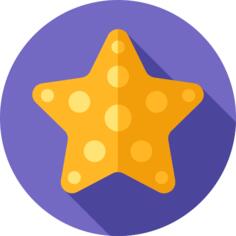 海星