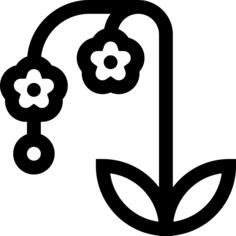 兰花