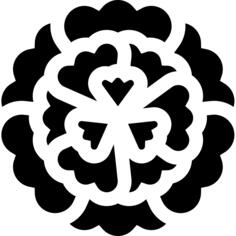 Carnation