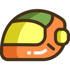 Helmet