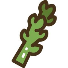 Asparagus