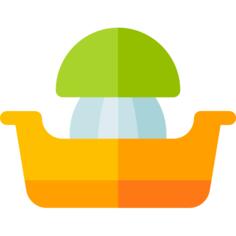 Juicer