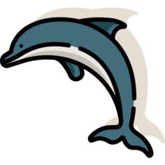 海豚
